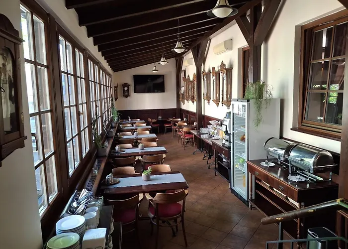 Hotel U Hejtmana Sarovce