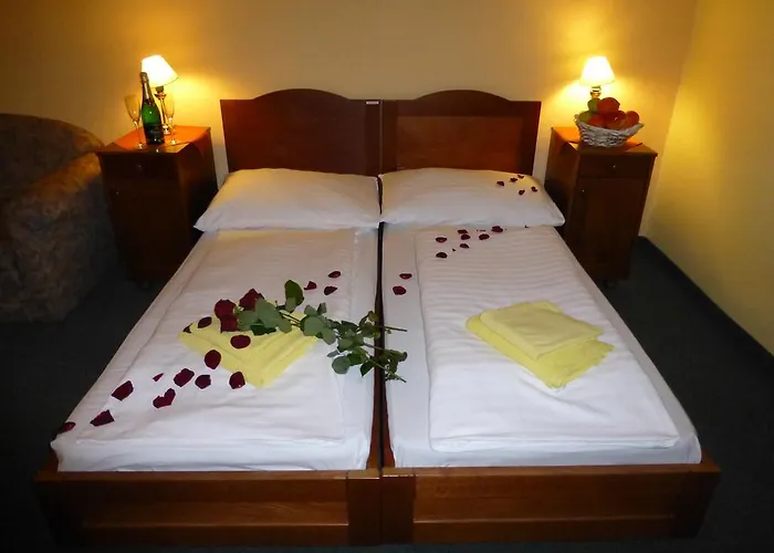 Hotel Korunni Princ