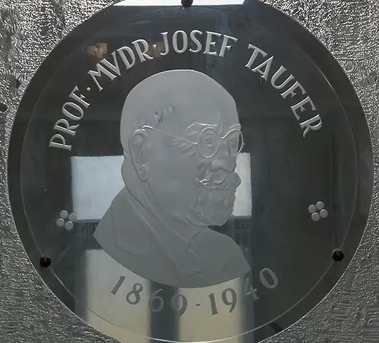 Hostel Tauferovy Koleje Brno, Česká republika