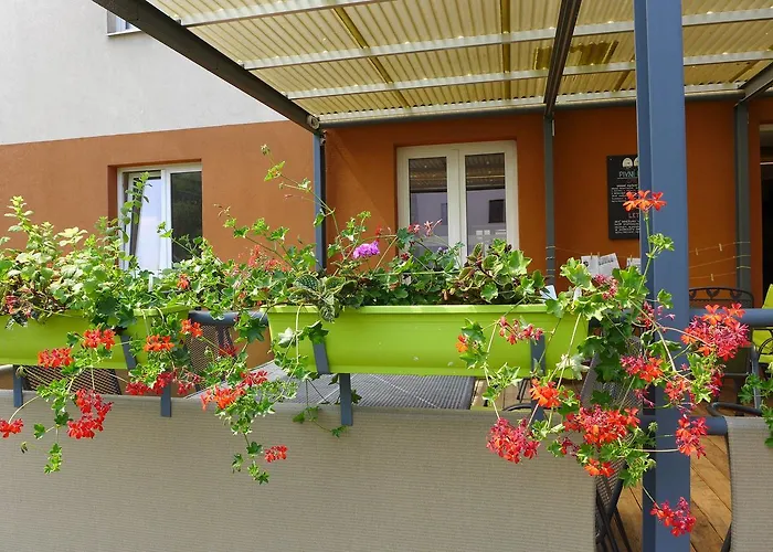 Hotel Elmontex