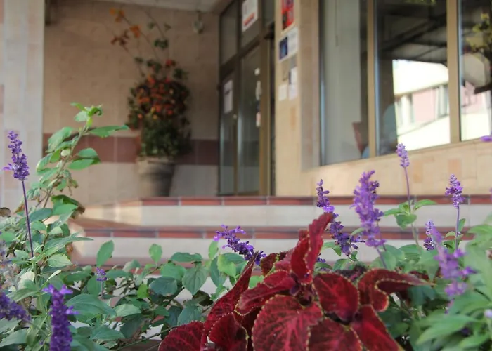 Hotel Junior Podebrady