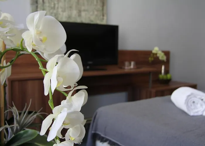 Hotel Junior Podebrady