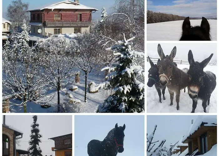 Hotel Farma Žlutava, Česká republika