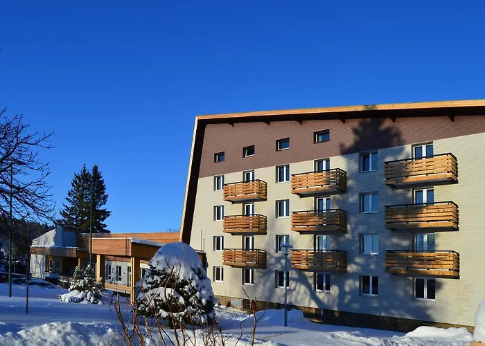 Hotel Srni Depandance - Sumava